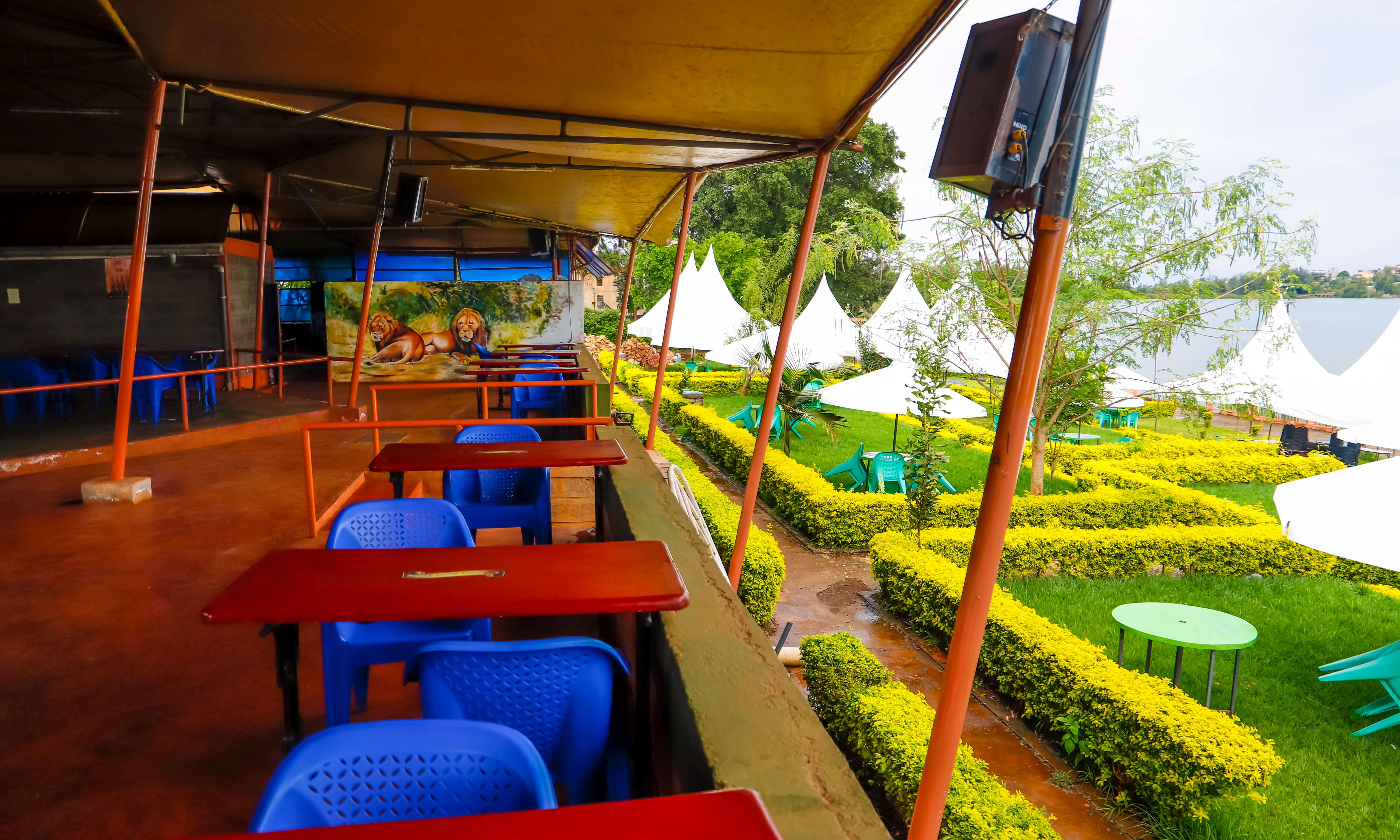 Family celebration setup